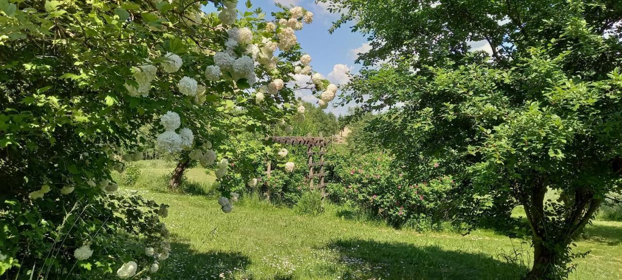 Dom Goscinny Lerka - 240 M2 Mazury Jeziora Lasy Lakorz Kültér fotó