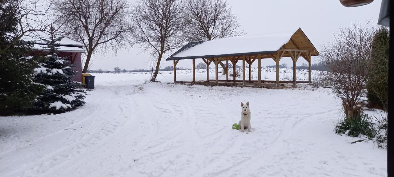 Dom Goscinny Lerka - 240 M2 Mazury Jeziora Lasy Lakorz Kültér fotó