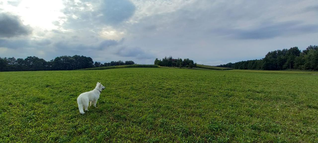 Dom Goscinny Lerka - 240 M2 Mazury Jeziora Lasy Lakorz Kültér fotó