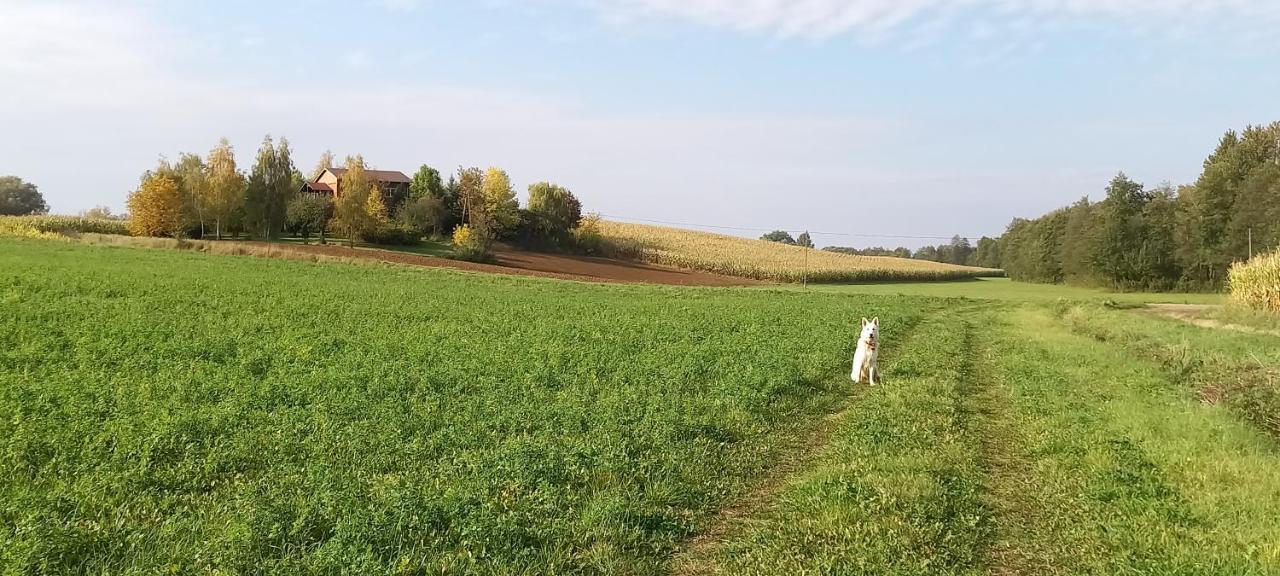 Dom Goscinny Lerka - 240 M2 Mazury Jeziora Lasy Lakorz Kültér fotó