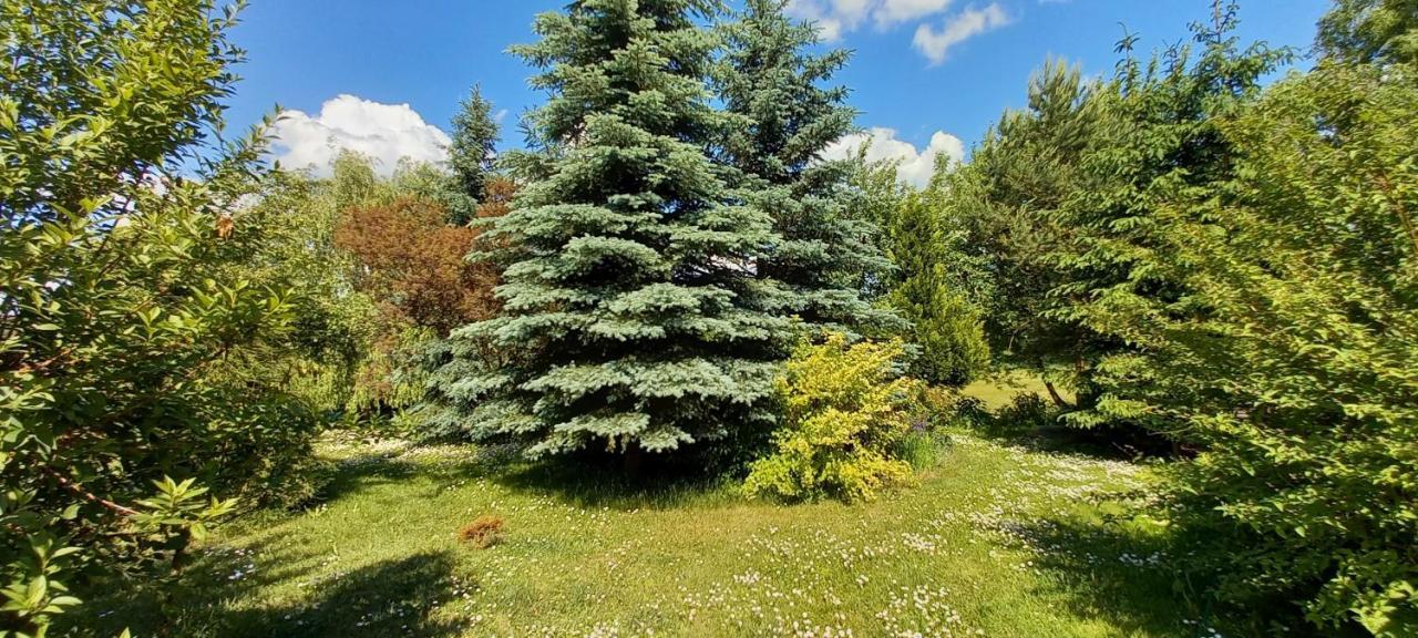 Dom Goscinny Lerka - 240 M2 Mazury Jeziora Lasy Lakorz Kültér fotó