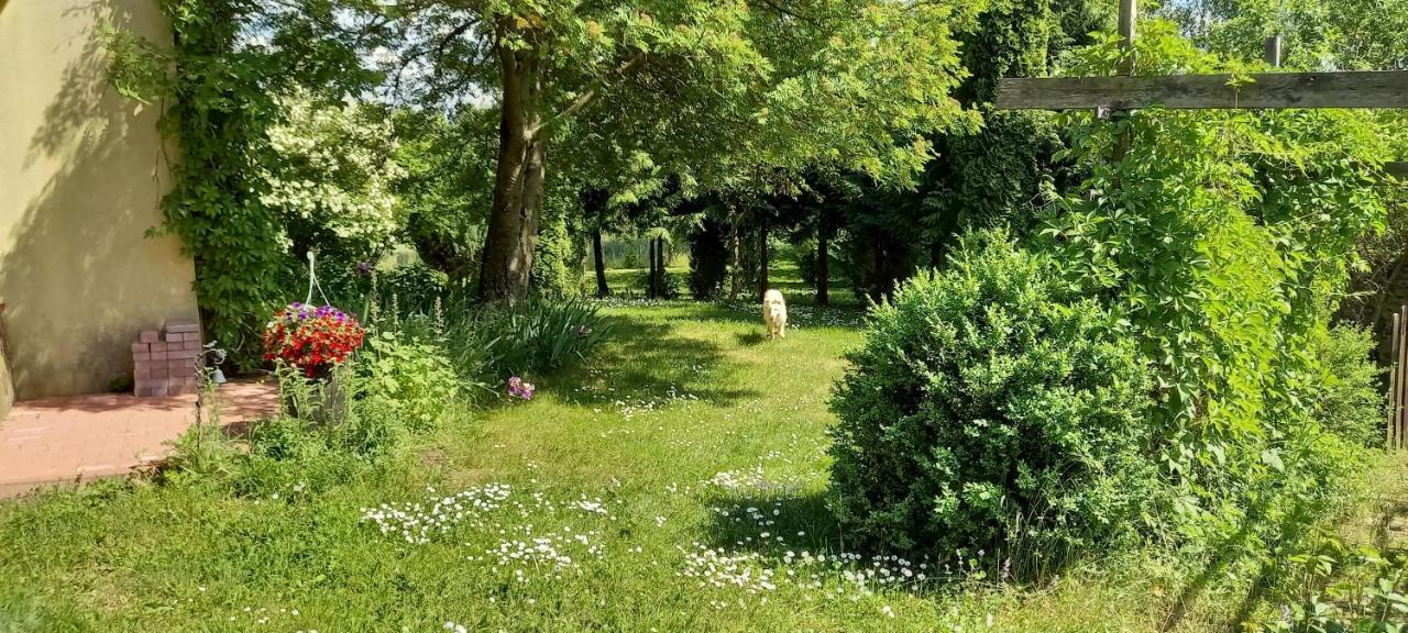 Dom Goscinny Lerka - 240 M2 Mazury Jeziora Lasy Lakorz Kültér fotó