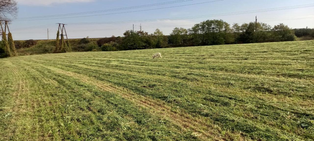 Dom Goscinny Lerka - 240 M2 Mazury Jeziora Lasy Lakorz Kültér fotó